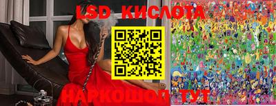 твердый Кингисепп