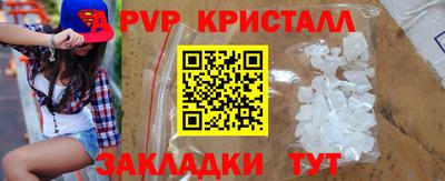 твердый Кингисепп