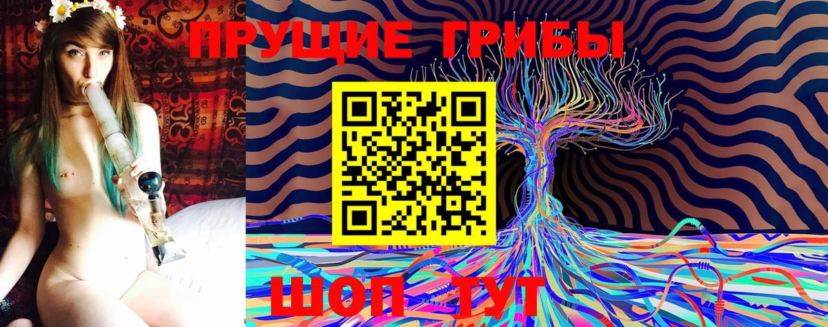 Псилоцибиновые грибы прущие грибы  Вход с VPN  Коммунар 