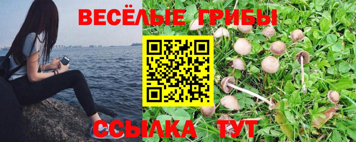 Псилоцибиновые грибы прущие грибы Коммунар